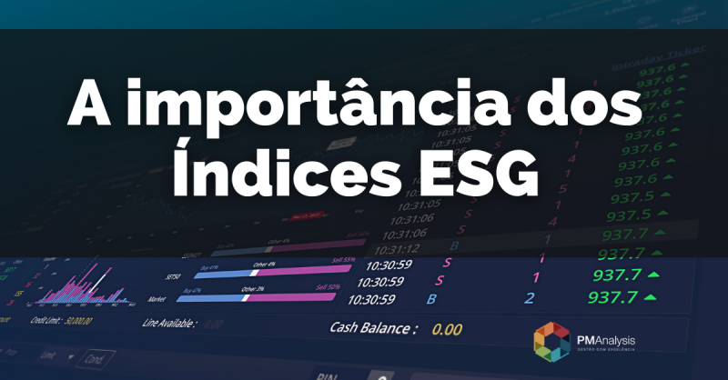 Índices ESG e a sua Importância para o Mercado Brasileiro e Global