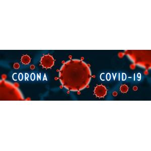 COVID-19 (NOVO CORONAVÍRUS) E AS AMEAÇAS IMPREVISÍVEIS À CONTINUIDADE DOS NEGÓCIOS